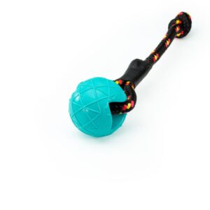 Moby Dog Ball