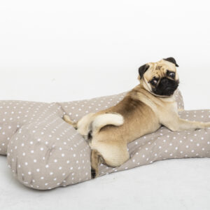 HuDog Kissen in Knochenform