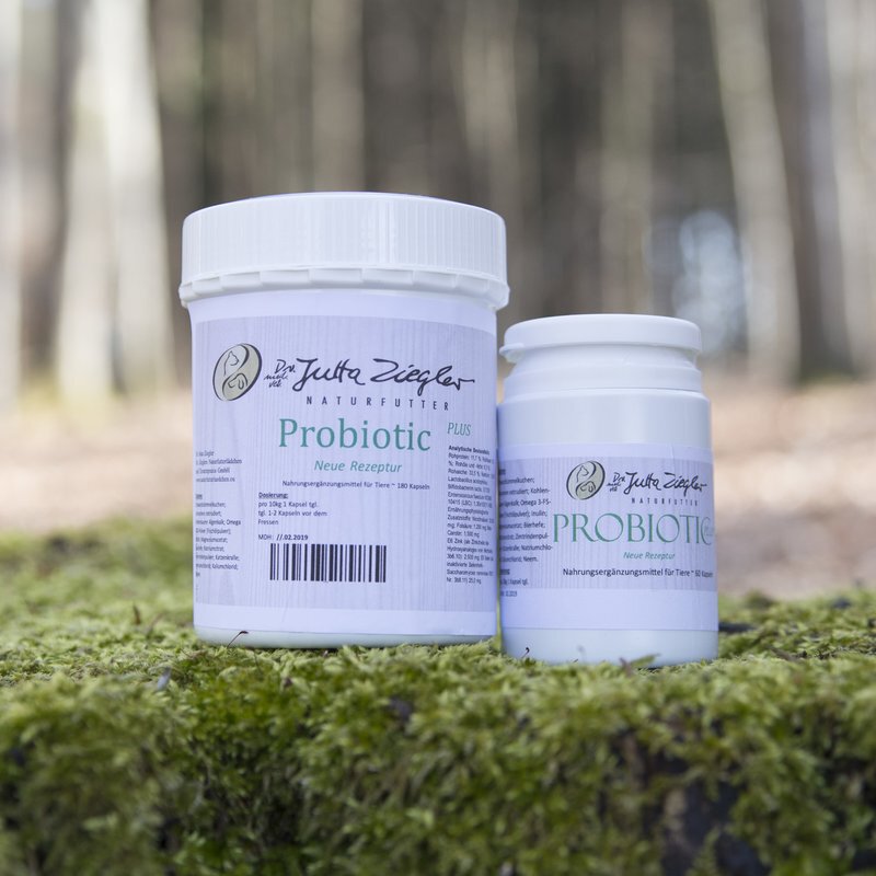 Dr. Jutta Ziegler Probriotic Plus