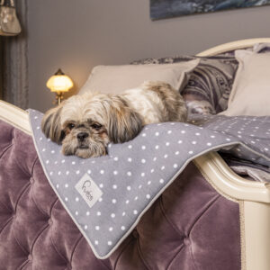 HuDog Hundematte